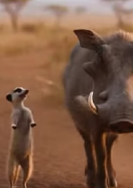 טימון ופומבה במציאות! סרטון נדיר